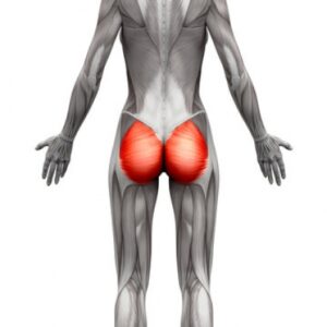 Discover A Powerful Exercise To Manage Hip Pain From Gluteal Tendinopathy Toronto Physio Therapy