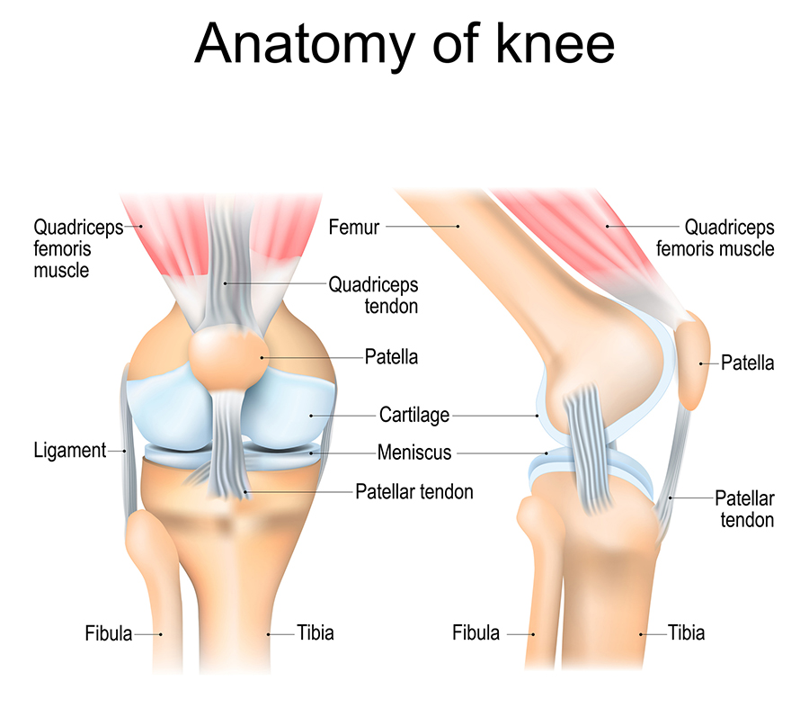Knee injury therapy clinics in Toronto