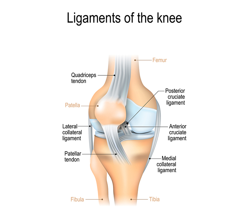 Knee ligament physiotherapy clinics in Toronto
