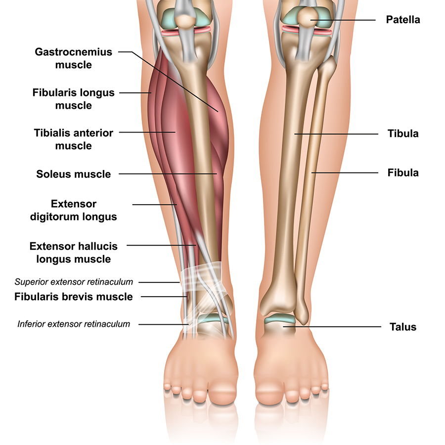 Lower Leg and Ankle Pain Therapy Toronto