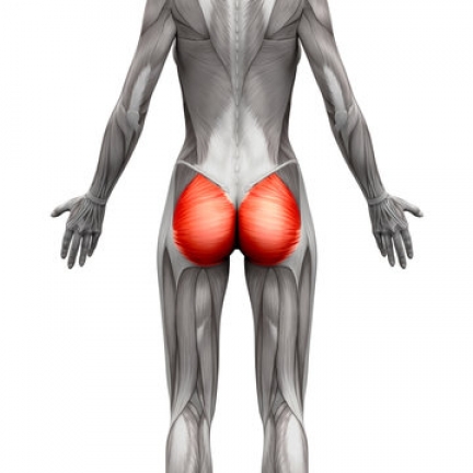 Hip Pain From Gluteal Tendinopathy - Clinic to help with Hip Pain From Gluteal Tendinopathy Toronto Gluteal Tendinopathy Help Clinic - 001